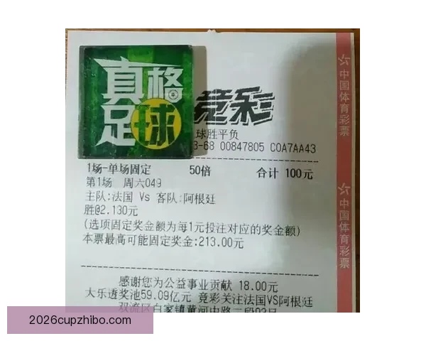 世界杯竞猜网站全攻略新手入门投注技巧与赛事预测深度解析指南